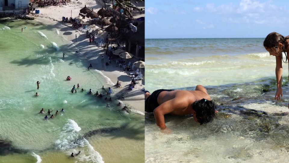 Lluvias recientes generan ojos de agua dulce en playas de Quintana Roo