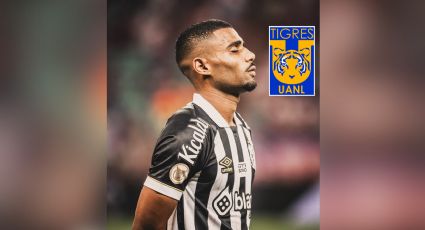 Joaquim Pereira es el segundo refuerzo de Tigres