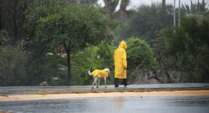 Regresa la lluvia a Nuevo León, ¿A partir de cuándo?