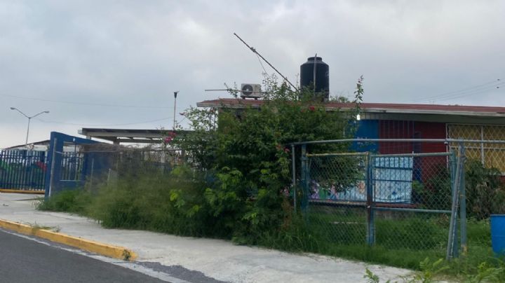 Tras Alberto, maleza crece en camellones de Monterrey y afecta a peatones