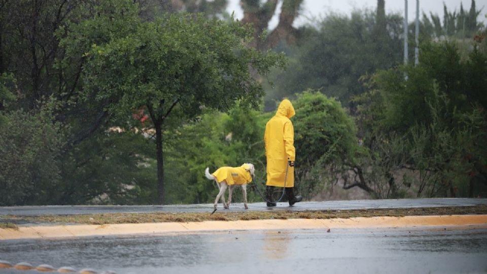 Persona dando un paseo junto a su perro debajo de la lluvia en Monterrey.