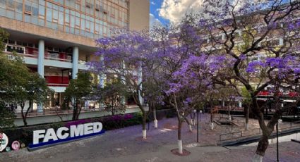 Joven obtiene calificación perfecta en examen a Facultad de Medicina de la UNAM