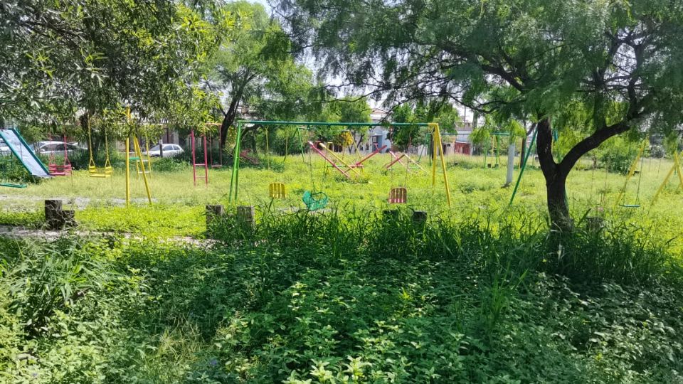 Hierba en parque de Guadalupe