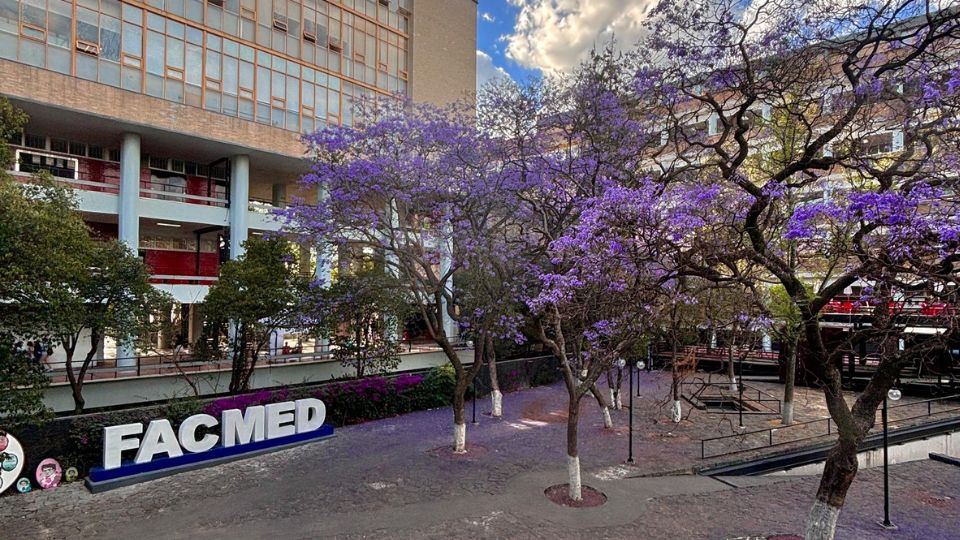 Facultad de Medicina de la UNAM | Facebook / Facultad de Medicina UNAM 
