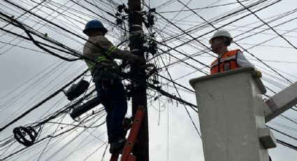 Monterrey señala haber eliminado hasta 2 mil kilómetros de 'telarañas' en cables