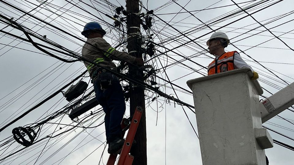 Retiro de telarañas de cables