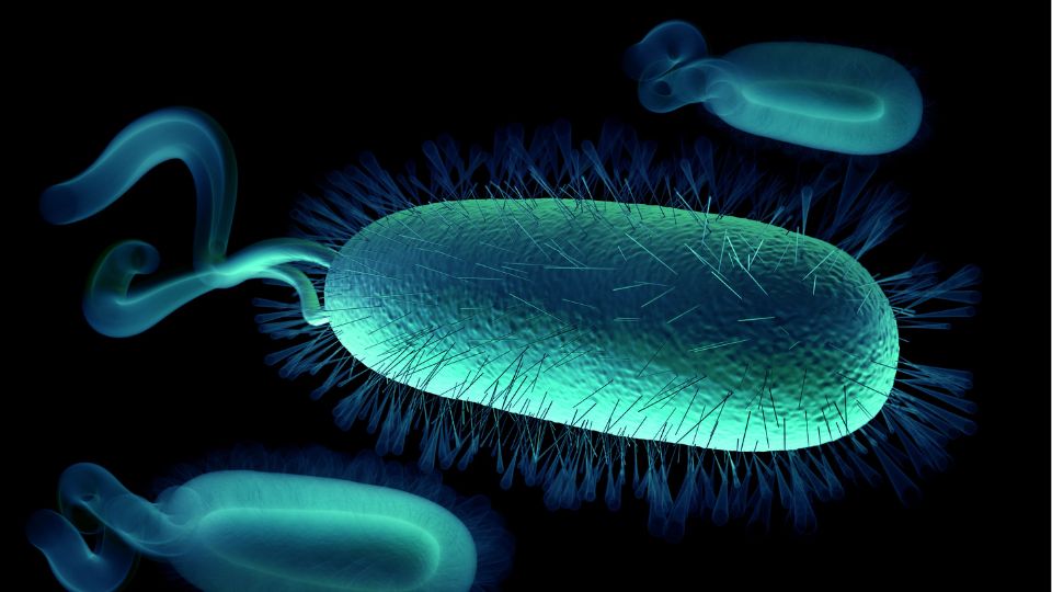 Bacteria ataca a niña colombiana y muere durante viaje en México