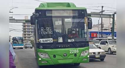 ¿Hay paro de labores en la ruta 85 Playa? Esto sabemos