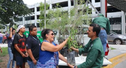 ¡Sigamos plantando! ¿Dónde y cuándo regalarán árboles en Monterrey?