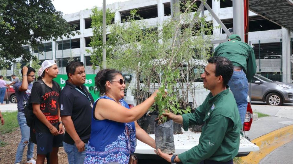 Entrega de árboles por medio del programa Bosques Ciudadanos | Secretaría de Medio Ambiente de Nuevo León