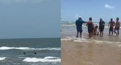 Ataque de tiburón en la Isla del Padre dejó 4 personas heridas