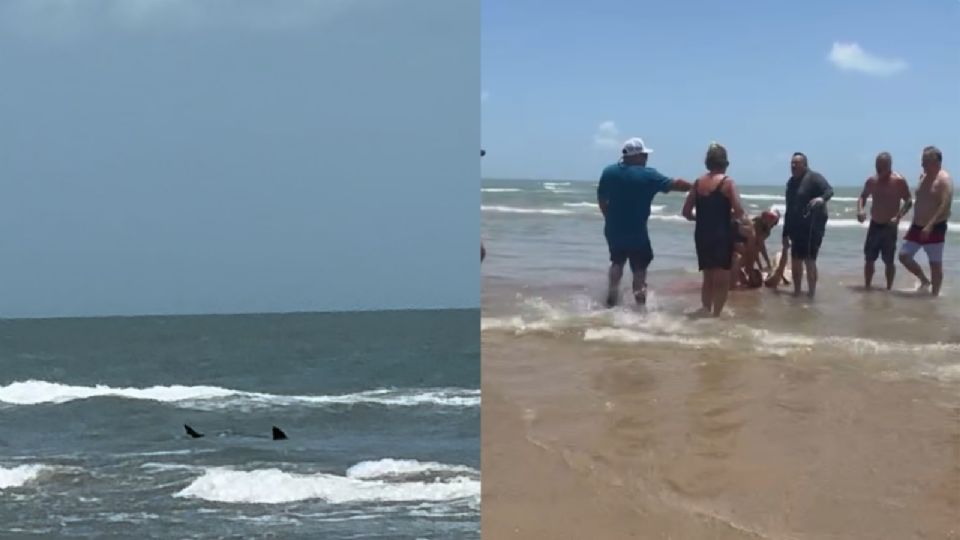 El ataque de tiburón ocurrió en la Isla del Padre, al sur de Texas.