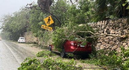 Huracán Beryl no dejó personas muertas en Quintana Roo: CNPC