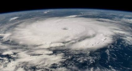 Aullido de miedo: Así se escuchó la llegada del huracán Beryl a Quintana Roo