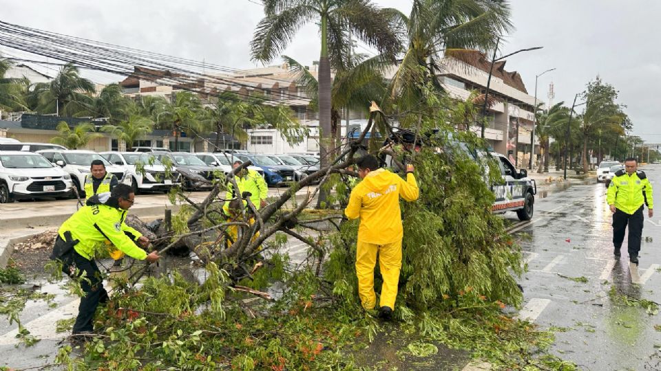 Restablecen al 100% la energía eléctrica en la Península de Yucatán