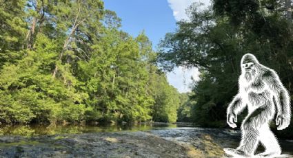 Rescatan a jóvenes de bosque en Louisiana; afirman haber visto a Pie Grande