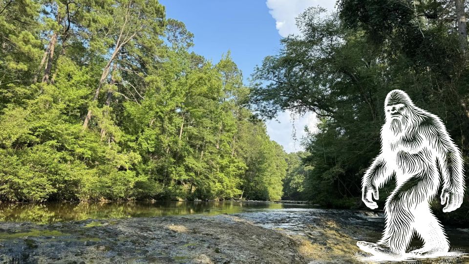 Jóvenes aseguran haber visto a Pie Grande en bosque de Luisiana