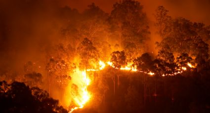 Confirmado: cambio climático generó megaincendios 2023-24