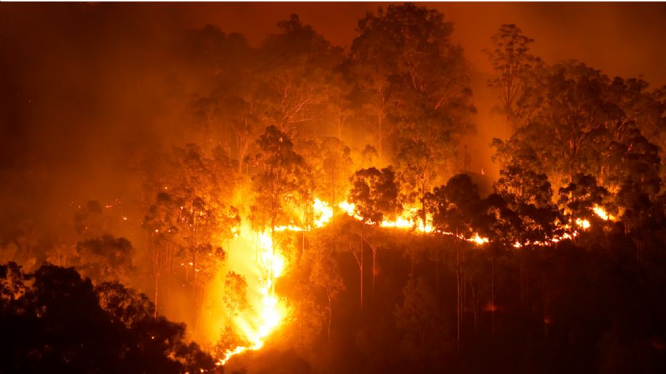 Confirmado: cambio climático generó megaincendios 2023-24.