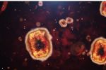 OMS declara el brote de mpox, emergencia sanitaria mundial