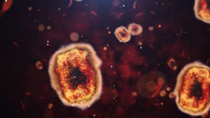 OMS declara el brote de mpox, emergencia sanitaria mundial