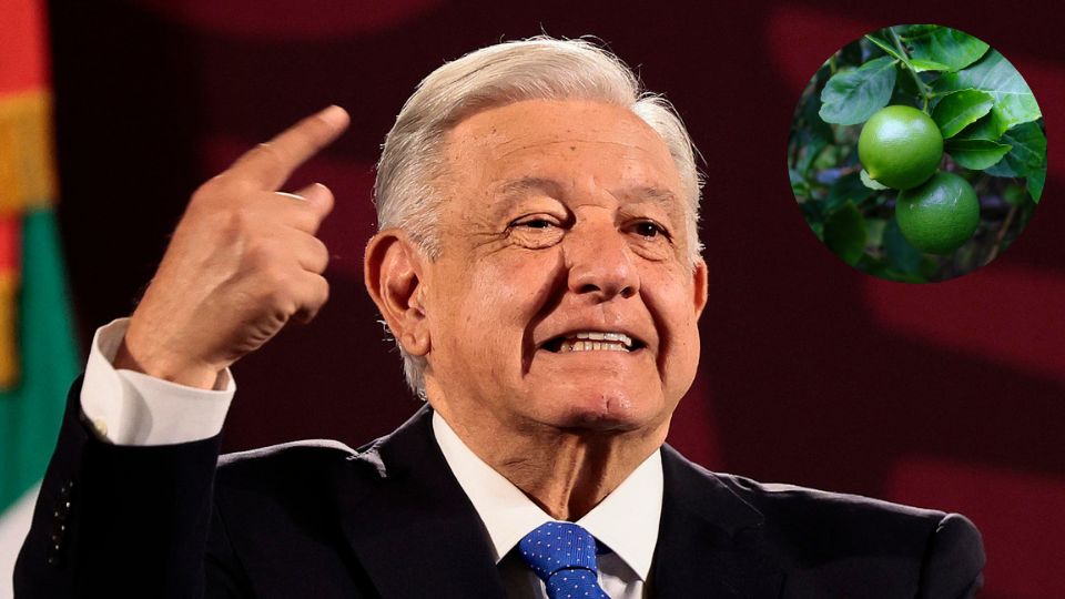 AMLO visualiza alza en el precio del limón | EFE/ José Méndez