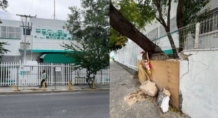 Denuncian árbol a punto de caer en una escuela de la Col. Independencia