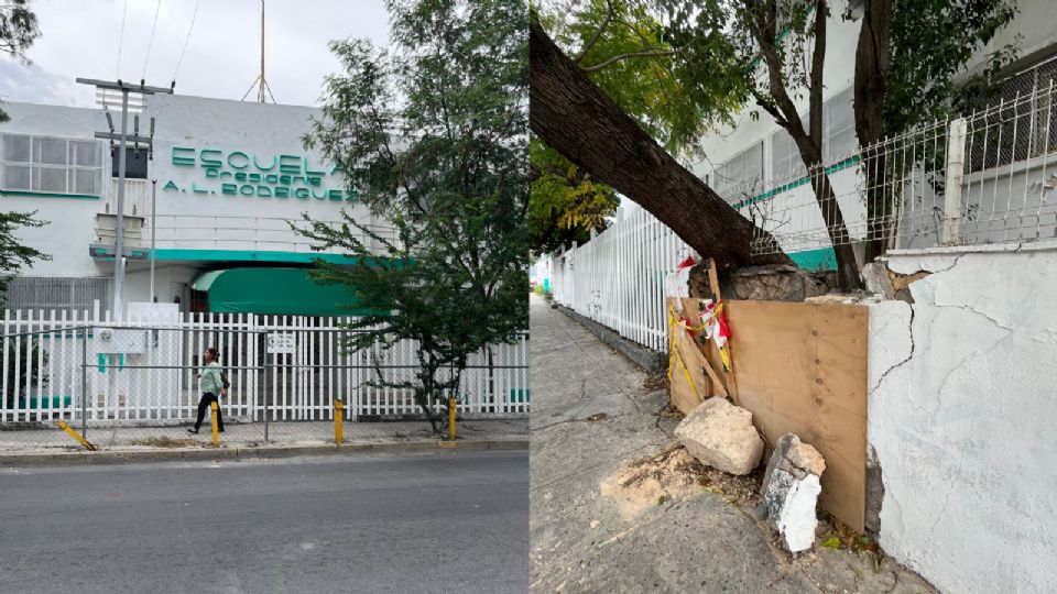 Denuncian árbol a punto de caer en la escuela Abelardo L. Rodríguez, de Monterrey.