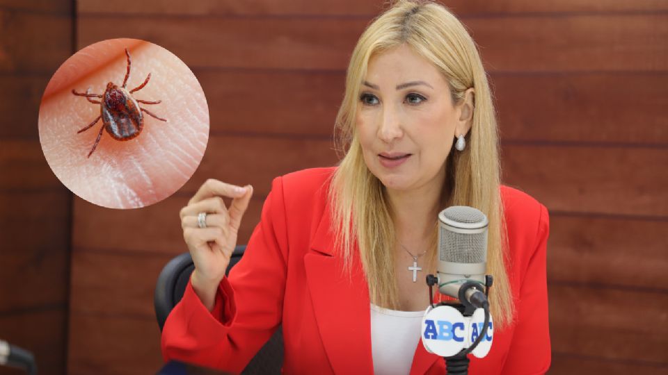 Alma Rosa Marroquín, secretaria de salud en Nuevo León.