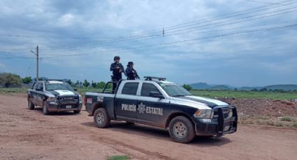 Desmantelan bandas criminales compuestas por niños sicarios en Sonora