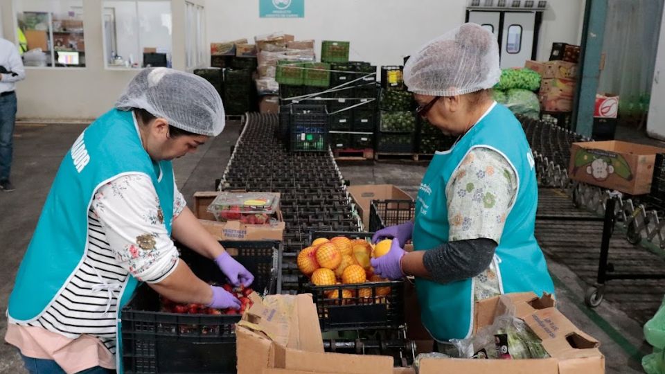 Mujeres trabajan en empaquetado de frutas