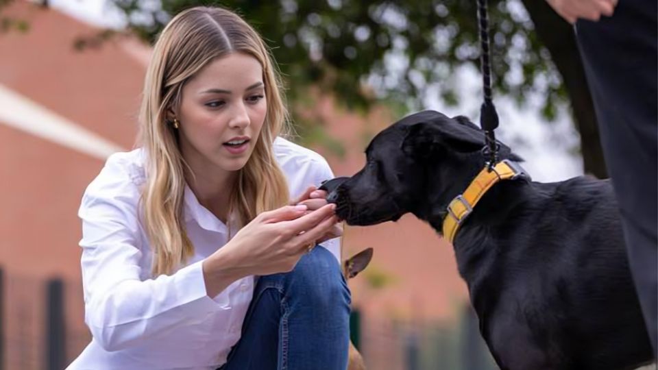 Mariana Rodríguez junto a un canino | Facebook / Mariana Rodríguez