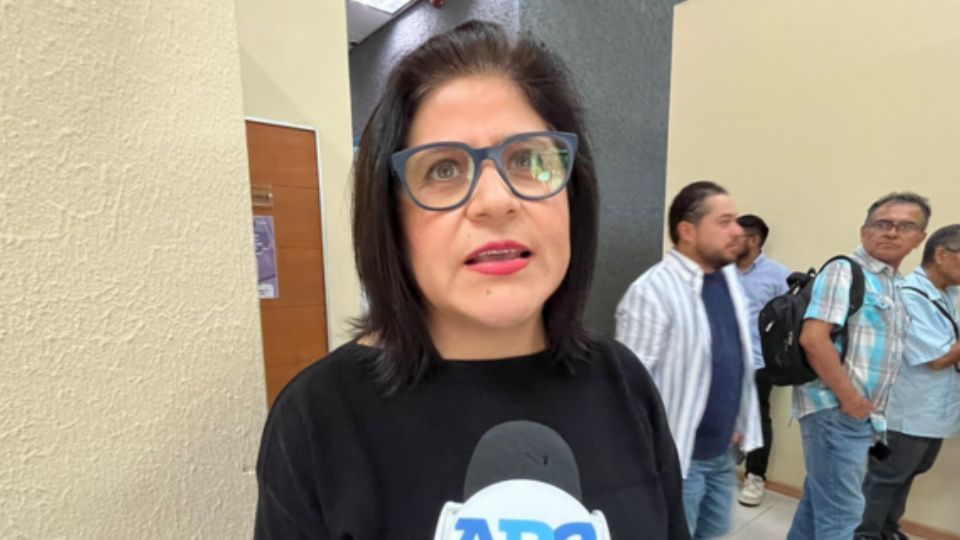 Sandra Pámanes, legisladora de Movimiento Ciudadano