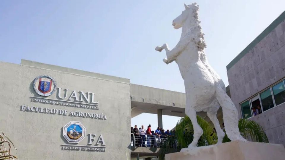 El Potro, mascota de la Facultad de Agronomía de la UANL.