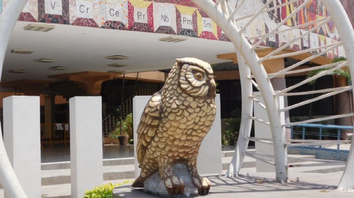 ¿Qué significan las mascotas de las facultades de Cd. Universitaria de la UANL?