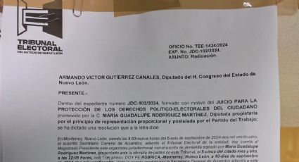 Lorena de la Garza asegura que en Congreso atienden solicitud del Tribunal Electoral