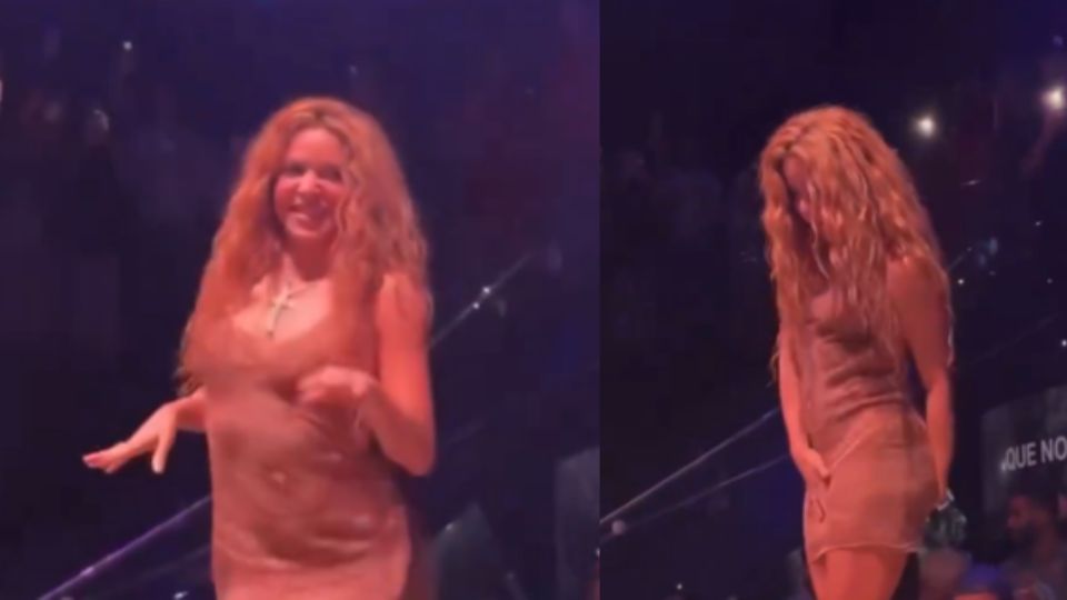 Shakira, cantante.