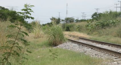 Descuida Nuevo León sus cruces de ferrocarril