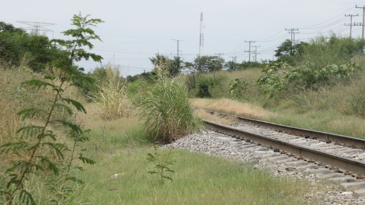 Descuida Nuevo León sus cruces de ferrocarril