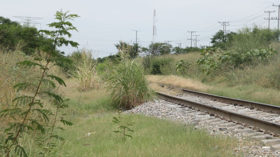 Cruce de ferrocarril entre maleza y hierba alta en avenida Raúl Salinas