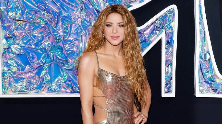 Revelan quién fue el hombre que grabó a Shakira por debajo de su vestido 