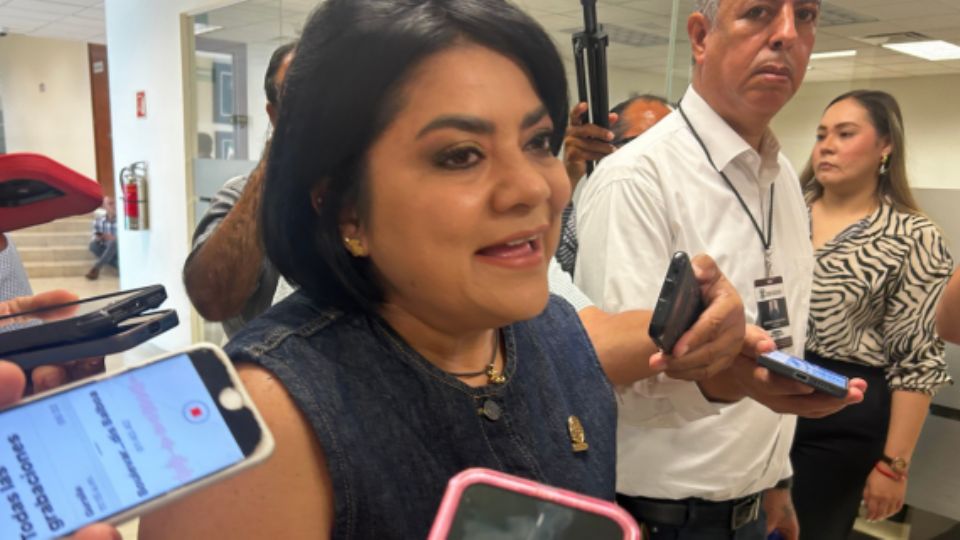 Úrsula Salazar Mojica, diputada local de Tamaulipas por Morena.