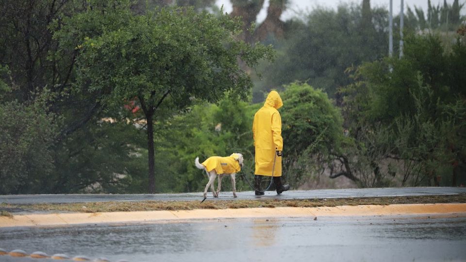 Persona y su perro caminan bajo la lluvia en Monterrey