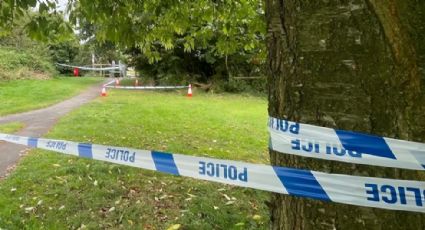 Detienen a cinco niños por matar a hombre de 80 años que caminaba en el parque