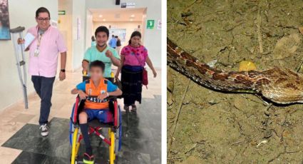 Niño pierde una pierna al salvar a su hermanita de 3 años de una serpiente venenosa