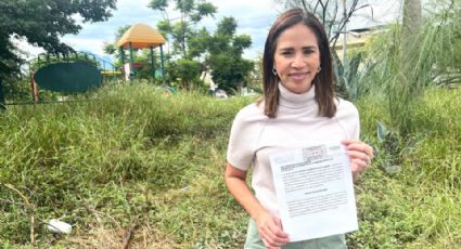 Ivonne Álvarez pide deshierbe urgente en parques de Monterrey