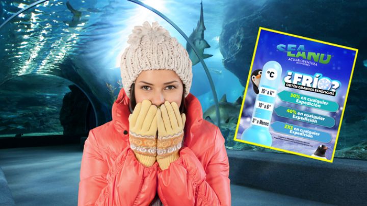 ¿Quién dijo frío? Sealand lanza promociones en sus visitas al acuario en Monterrey
