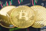 Busca agencia impulsar uso de criptomoneda