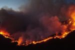 Protección Civil de Nuevo León alerta por llegada de temporada de incendios