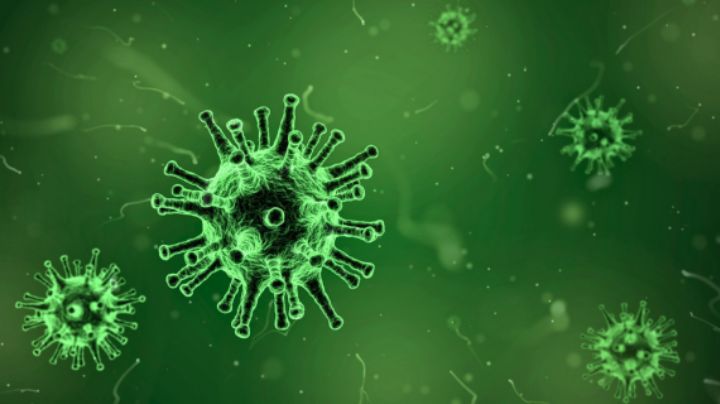 ¿Qué dice la OMS tras brote de infecciones respiratorias en China?